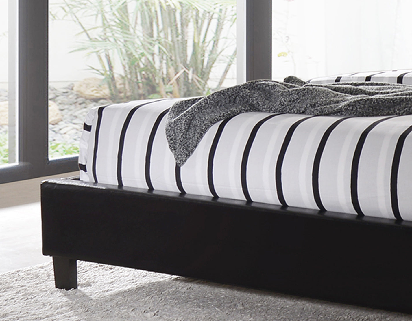 Glare Bed