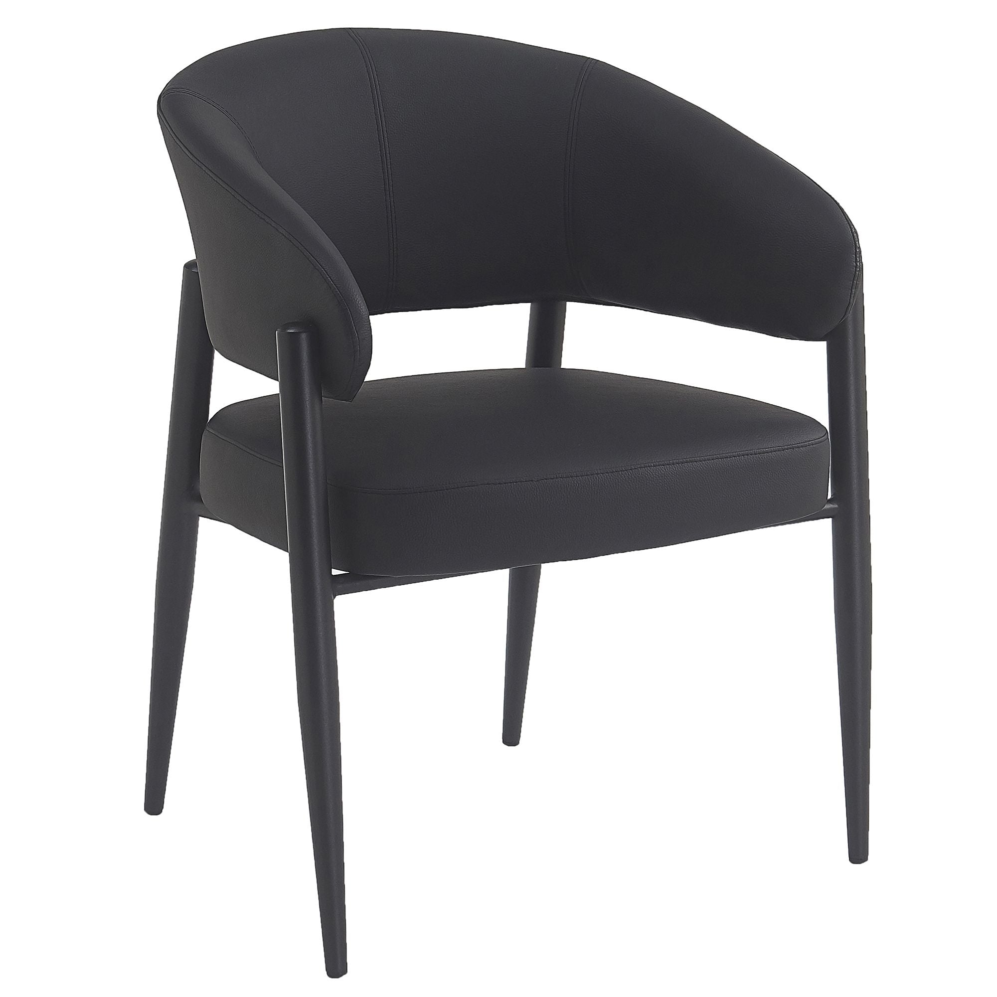 Bronson Dining/Lounge Chair, Set of 2