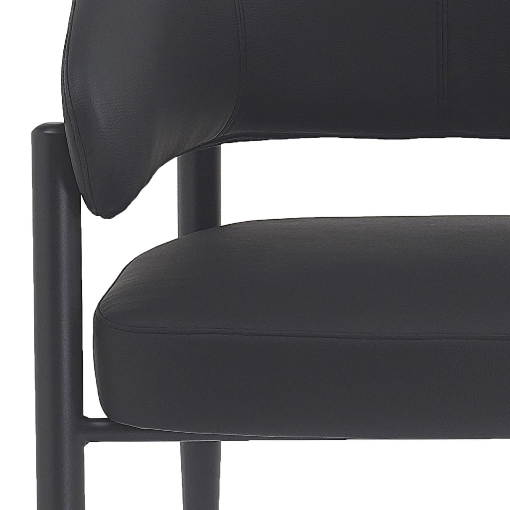Bronson Dining/Lounge Chair, Set of 2