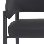 Bronson Dining/Lounge Chair, Set of 2