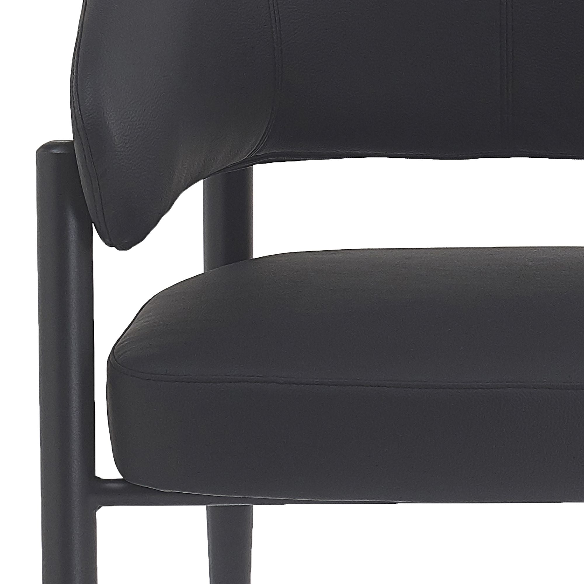 Bronson Dining/Lounge Chair, Set of 2