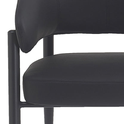 Bronson Dining/Lounge Chair, Set of 2