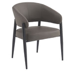 Bronson Dining/Lounge Chair, Set of 2