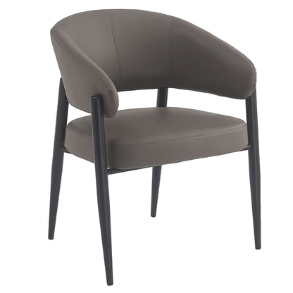 Bronson Dining/Lounge Chair, Set of 2