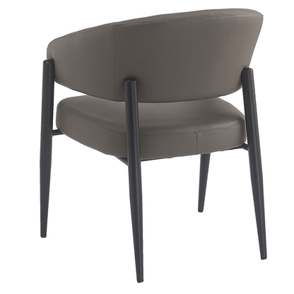 Bronson Dining/Lounge Chair, Set of 2