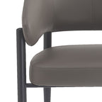 Bronson Dining/Lounge Chair, Set of 2