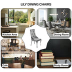 Lily Grey Velvet Dining Chair with Chrome Ring Knocker Set of 2