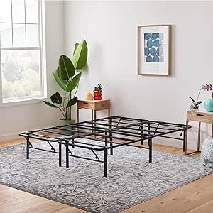 Metal Platform Bed