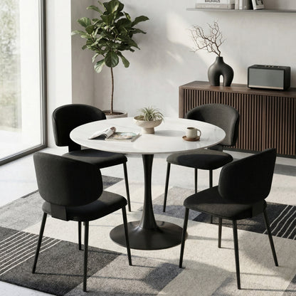 Loomie Dining Chair with Metal Legs SET OF 2