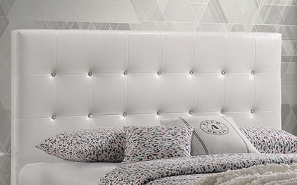 Glare Bed
