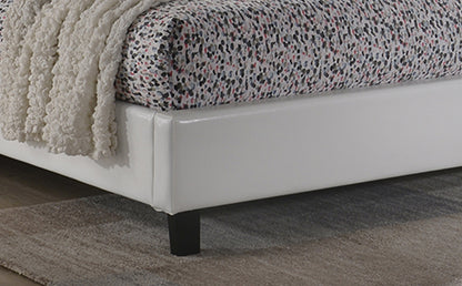 Glare Bed