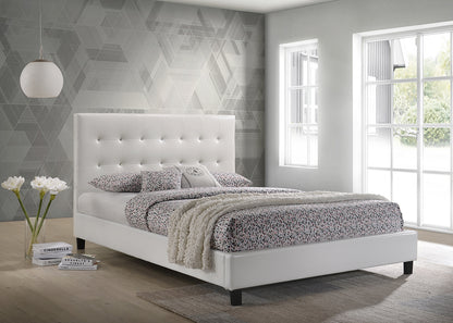 Glare Bed
