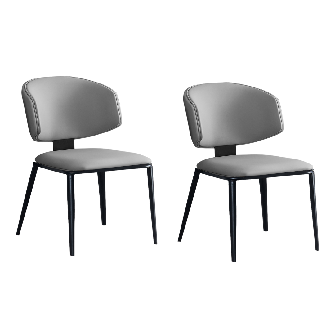 Loomie Dining Chair with Metal Legs SET OF 2