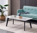 Ninja Coffee Table with Sintered Stone
